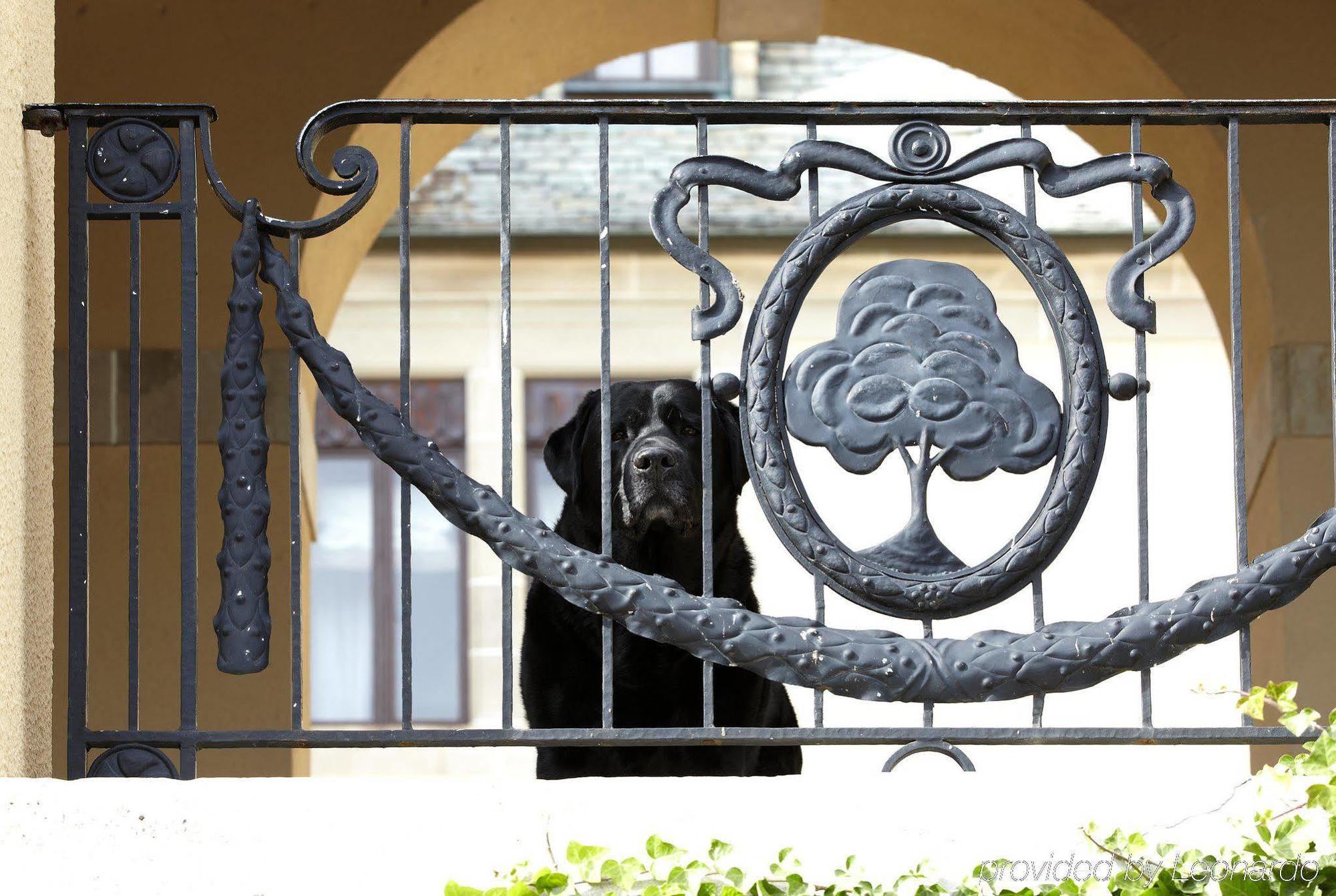 Oheka Castle Hotel & Estate Huntington Buitenkant foto